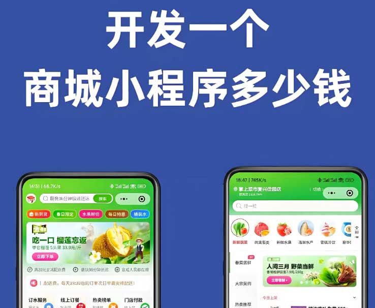? 小程序開(kāi)發(fā) 電商平臺(tái) | 購(gòu)物車、支付系統(tǒng)、會(huì)員管理一站式搭建